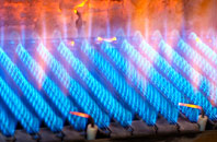 Leeming gas fired boilers